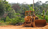 Construction de route et déboisement avec un Caterpillar, au Cameroun